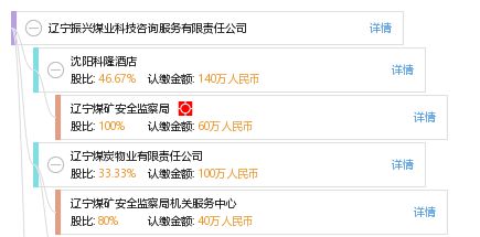 信息技術(shù)咨詢服務(wù) 遼寧振興煤業(yè)科技咨詢服務(wù)有限責(zé)任公司的專業(yè)優(yōu)勢