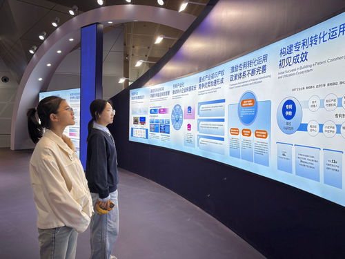 我校師生參加第十四屆中國國際專利技術(shù)與產(chǎn)品交易會，聚焦信息技術(shù)咨詢服務(wù)創(chuàng)新